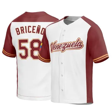 Venezuela Baseball Youth Endrys Briceno 2023 World Baseball Classic Jersey - Replica White